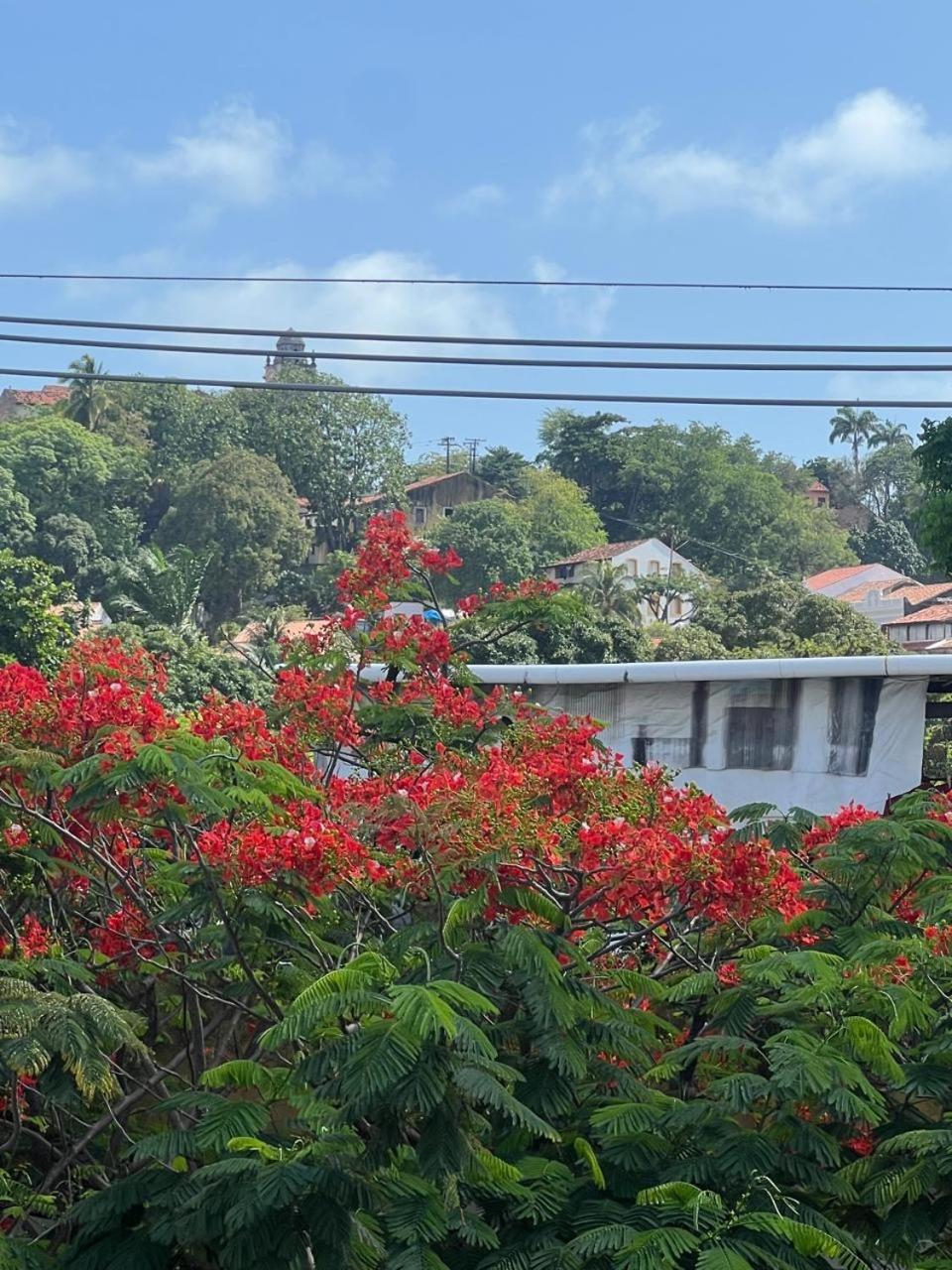 Pousada Do Leo Olinda Extérieur photo